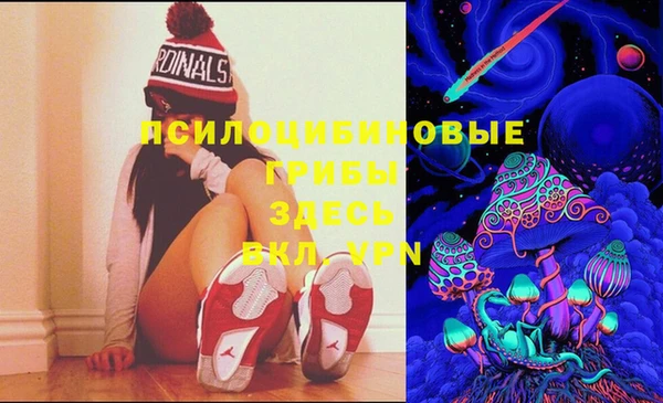 экстази Баксан